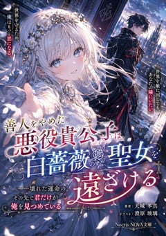 Anime Light Novel Cover Illustration
