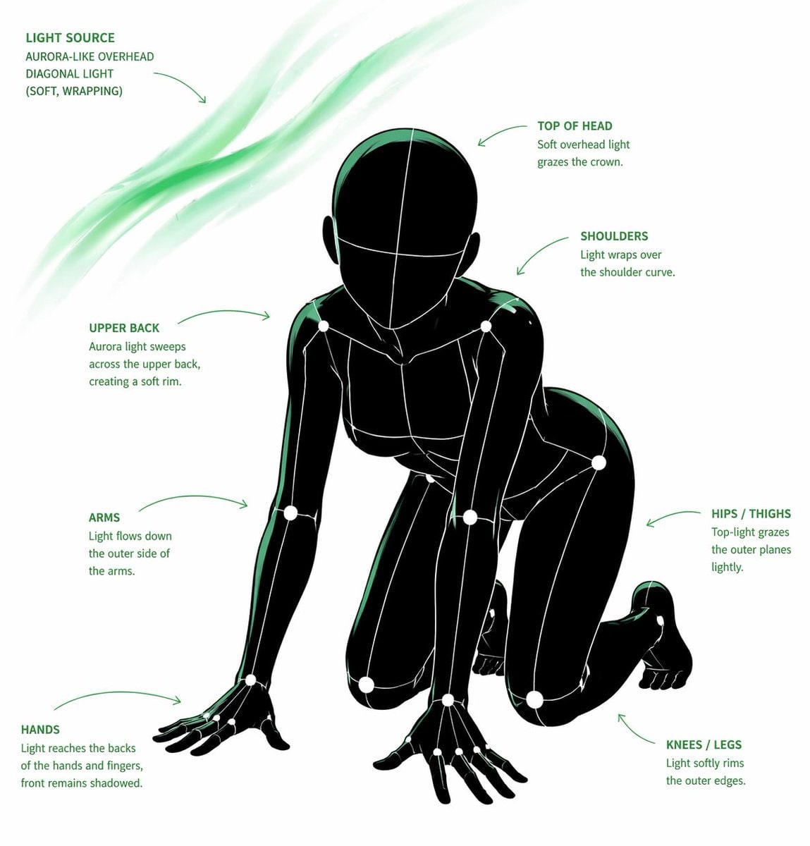 Pose and Lighting Analysis Sheet Transformer