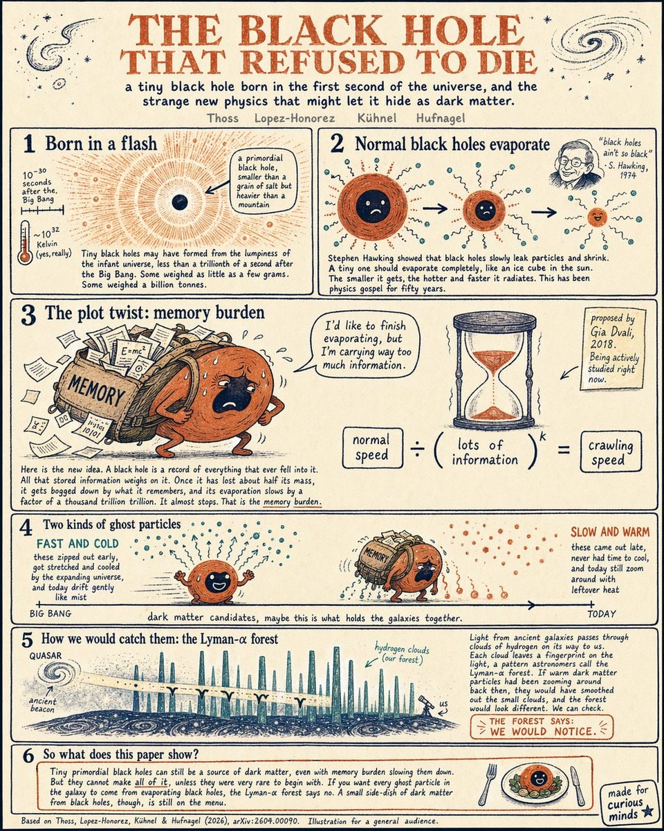 适合青少年的黑洞物理学信息图