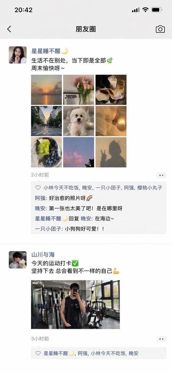 ChatGPT 应用展示微信朋友圈截图