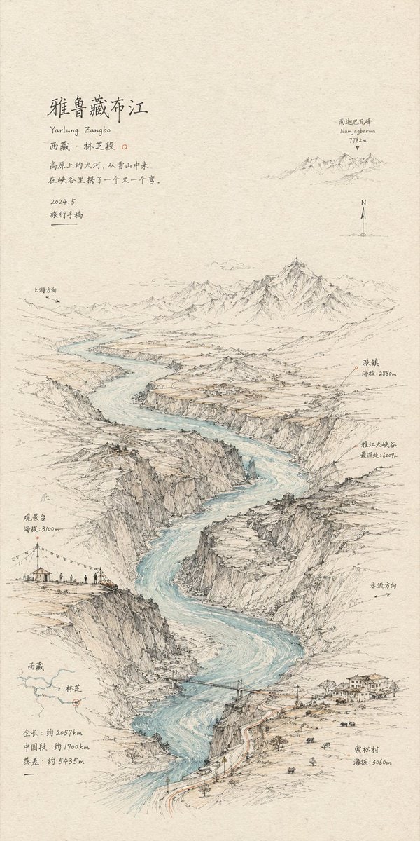 个人资料/头像 - 手绘线性素描艺术